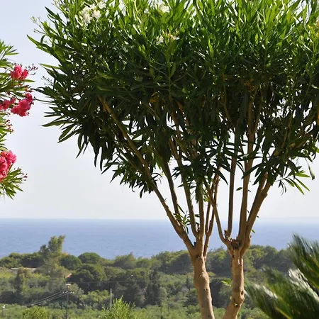 Appartement Belvedere-sea View