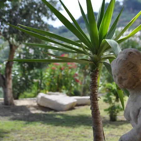 Belvedere - Panoramic Sea View Apts * Vasilikí