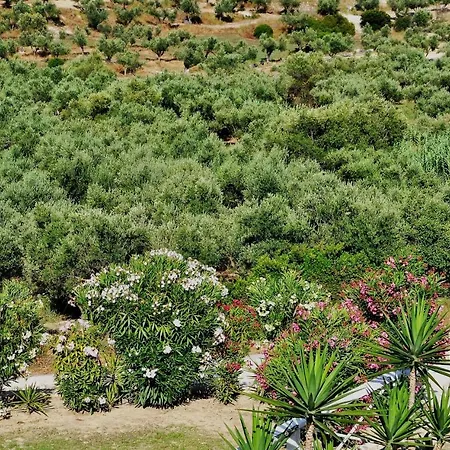 Belvedere - Panoramic Sea View Apts * Vasilikí