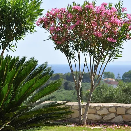 Lägenhet Belvedere - Panoramic Sea View Apts Vasilikí