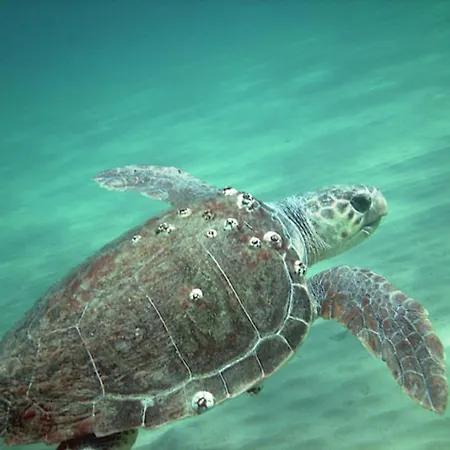 Apartmán Belvedere - Panoramic Sea View Apts Vasilikí